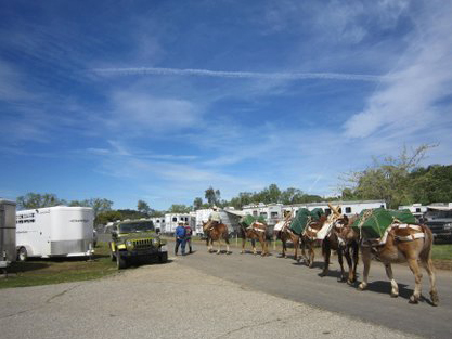Wagon Train